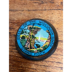 Dells of the Wisconsin River Stand Rock RARE Vintage Round Glass Paperweight