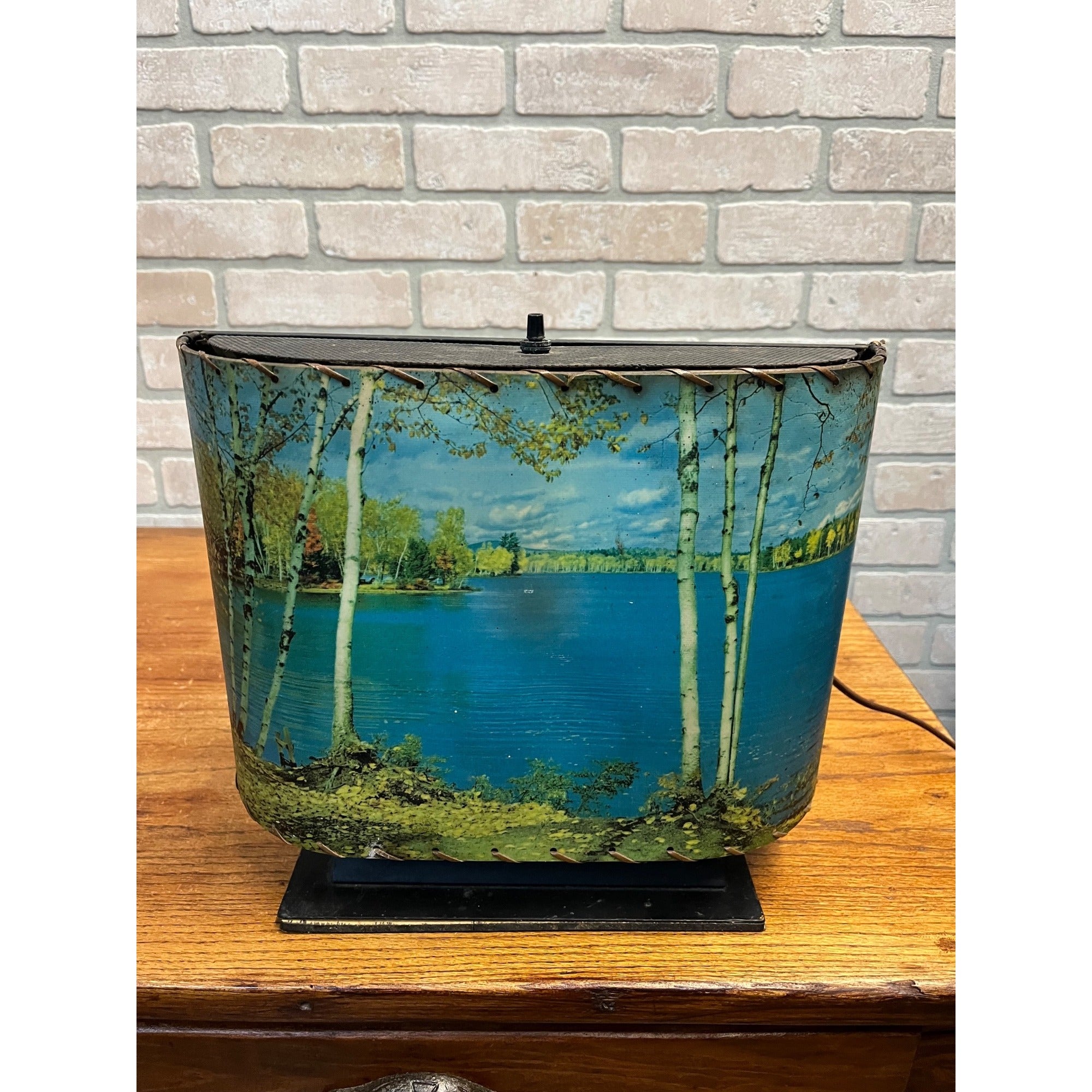 Vintage Helmscene TV Television Lamp Scenic Light Picture Mid-Century Lake Cabin