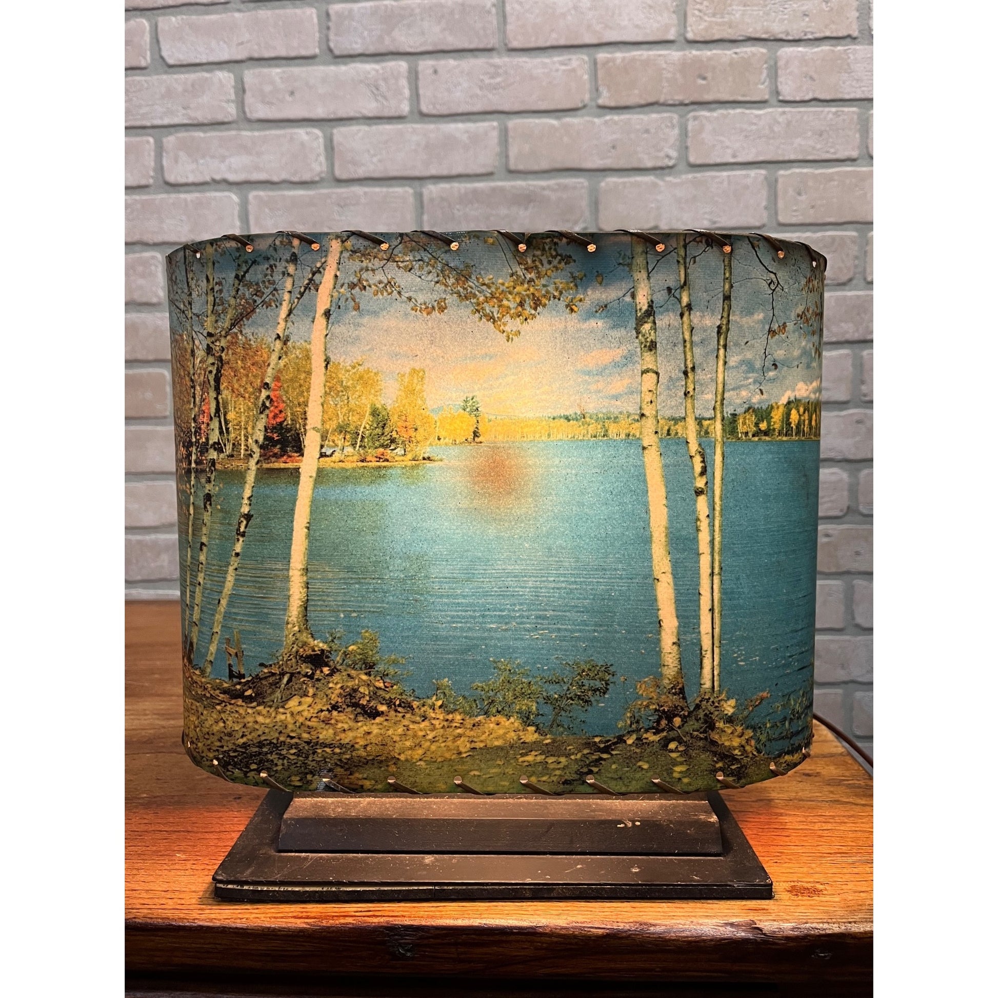Vintage Helmscene TV Television Lamp Scenic Light Picture Mid-Century Lake Cabin
