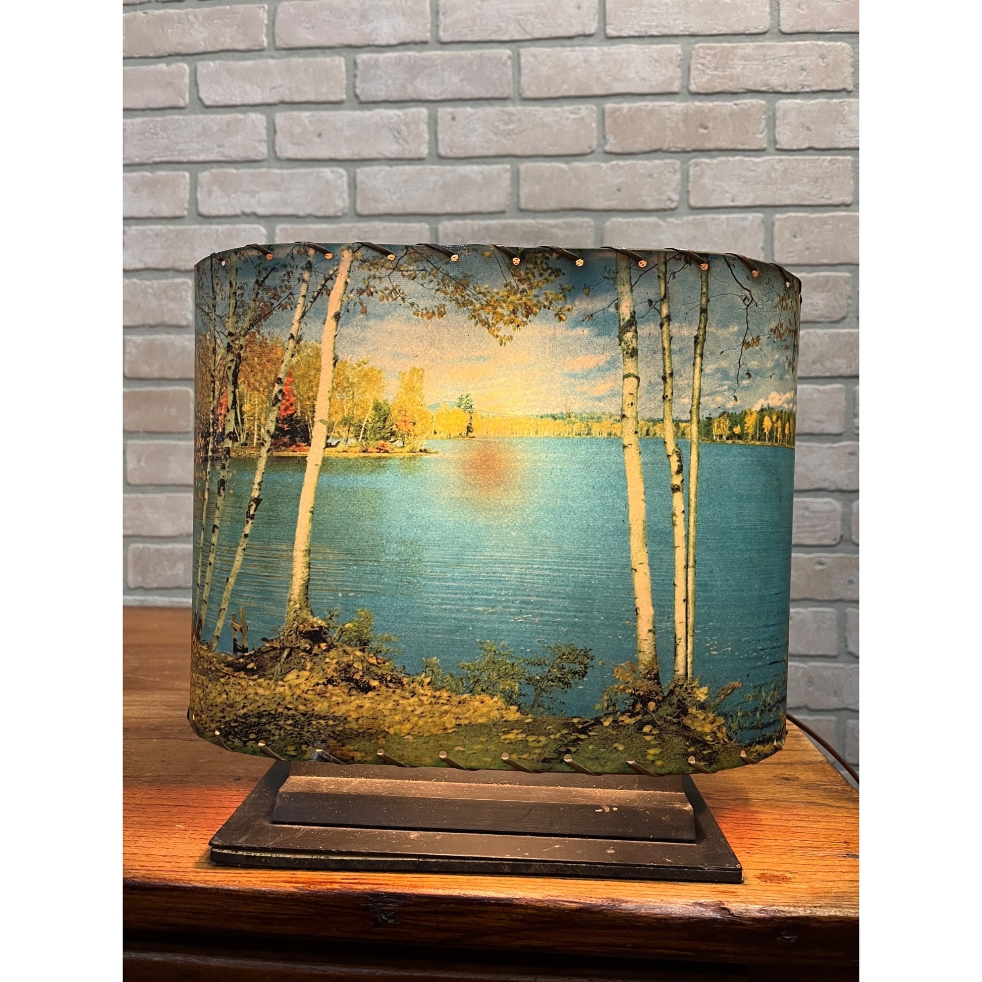 Vintage Helmscene TV Television Lamp Scenic Light Picture Mid-Century Lake Cabin