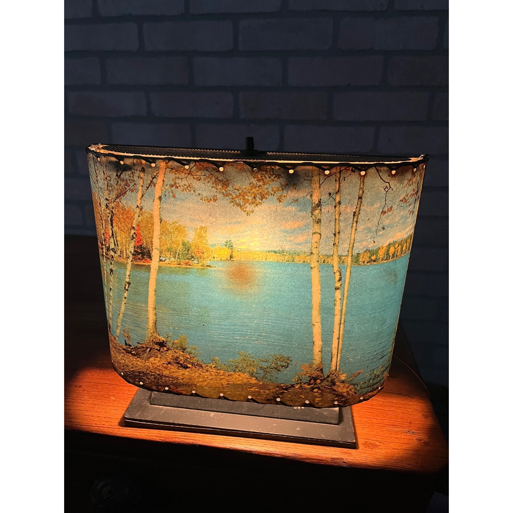 Vintage Helmscene TV Television Lamp Scenic Light Picture Mid-Century Lake Cabin
