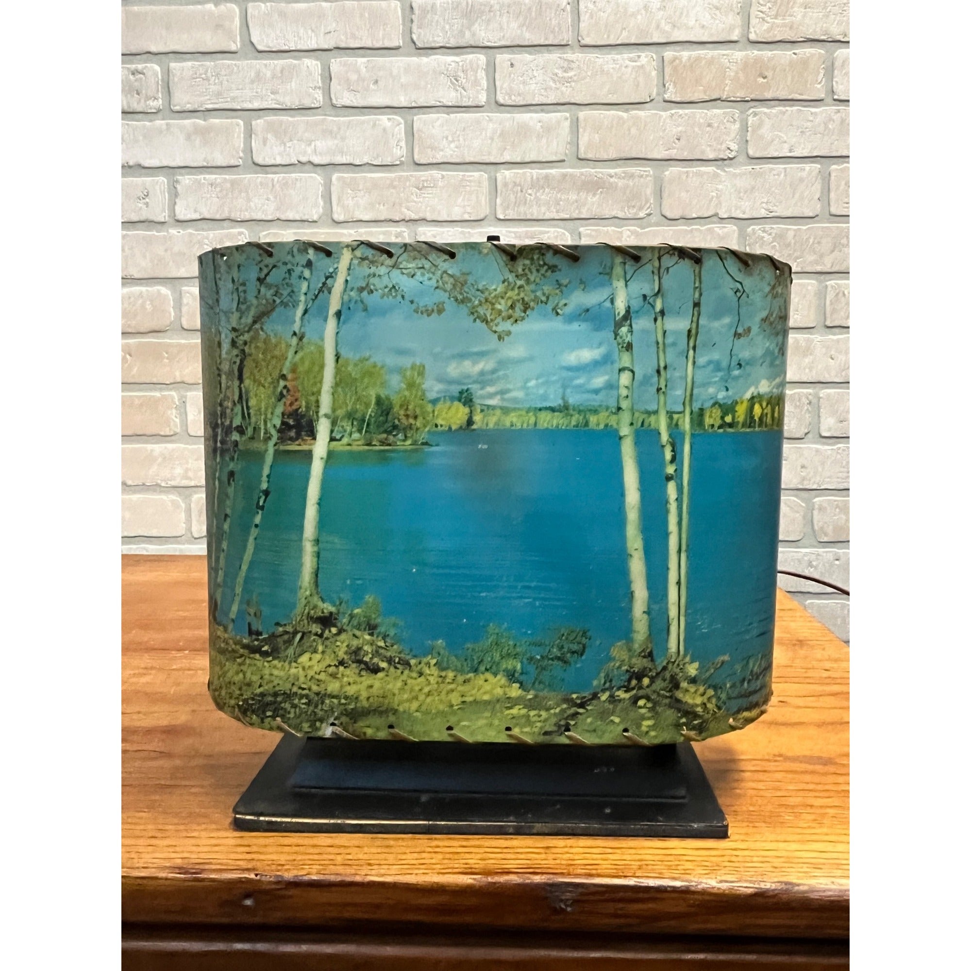 Vintage Helmscene TV Television Lamp Scenic Light Picture Mid-Century Lake Cabin