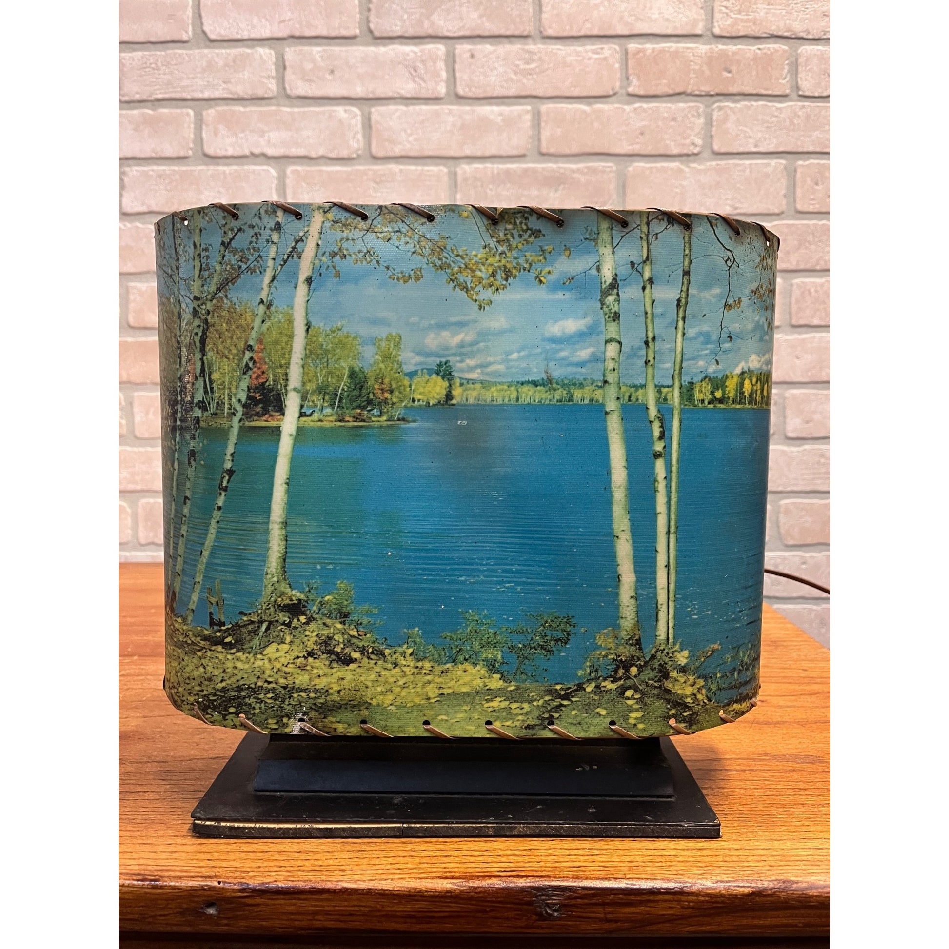 Vintage Helmscene TV Television Lamp Scenic Light Picture Mid-Century Lake Cabin