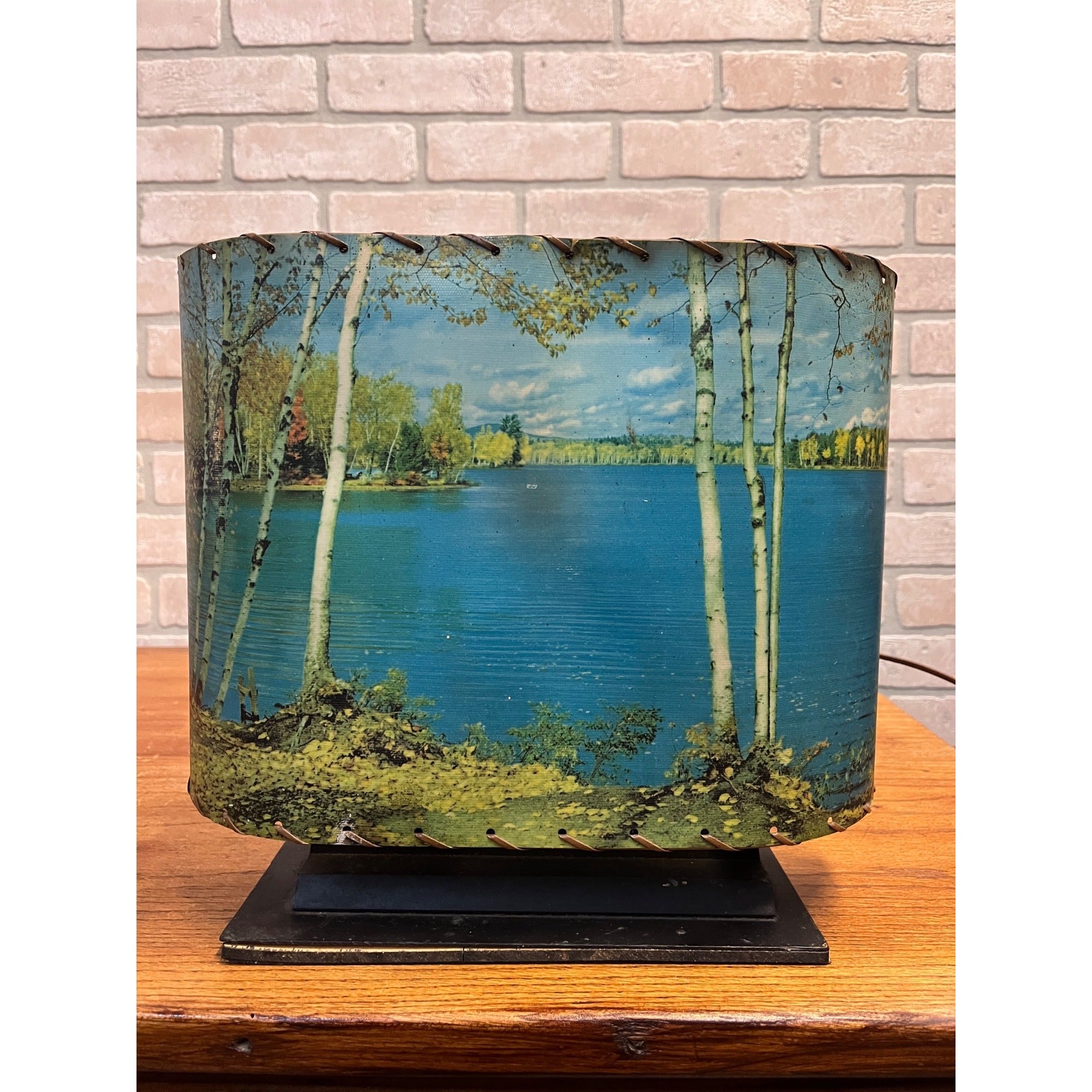 Vintage Helmscene TV Television Lamp Scenic Light Picture Mid-Century Lake Cabin