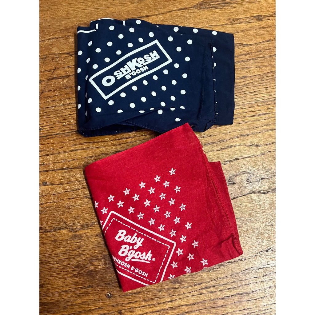 Vintage 1990s Oshkosh B'Gosh Wis Bandana Hankie Handkerchief Red Blue 100 Years