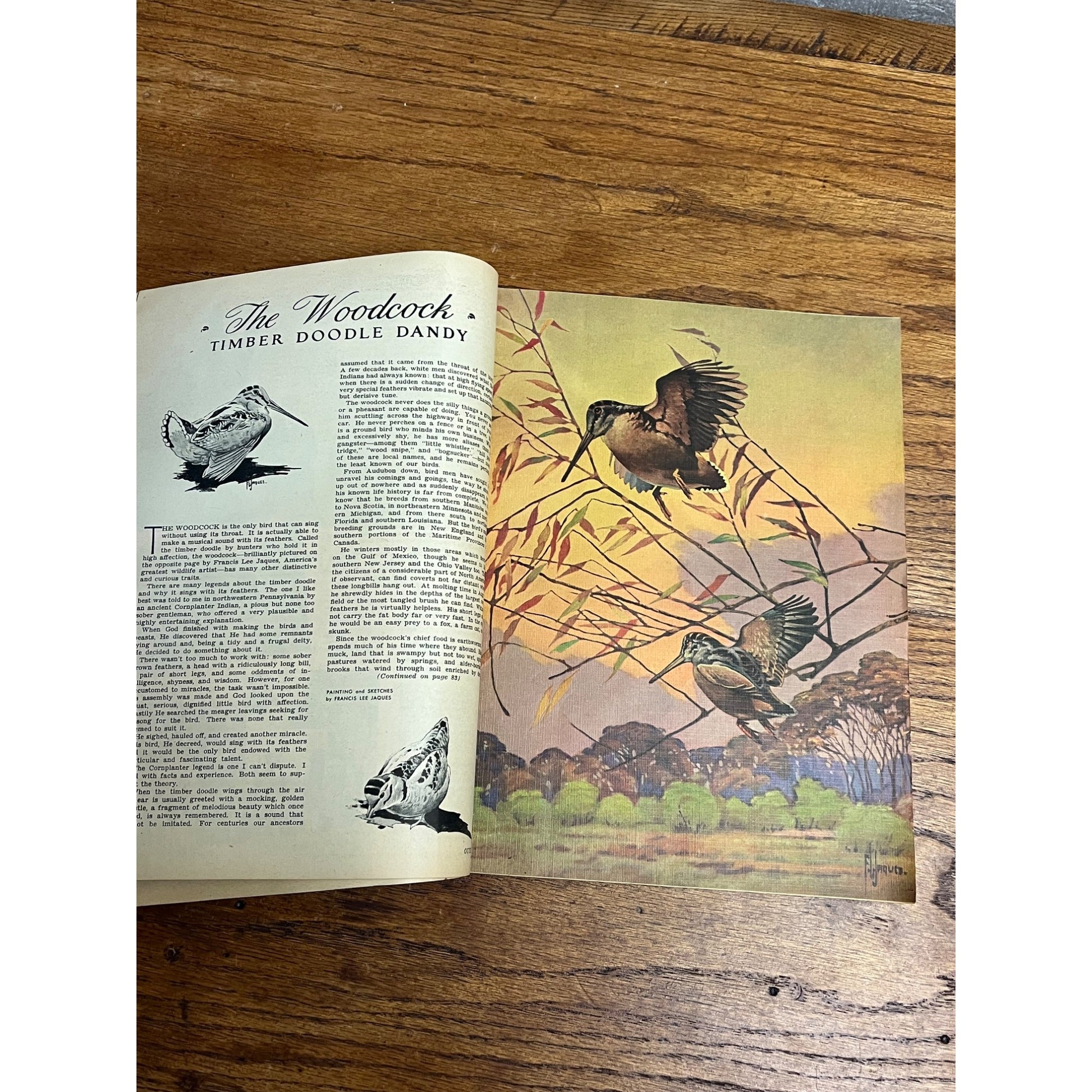Outdoor Life Magazine October 1944 Vol 94 No 4 Hunting Fishing Print Ads WW2