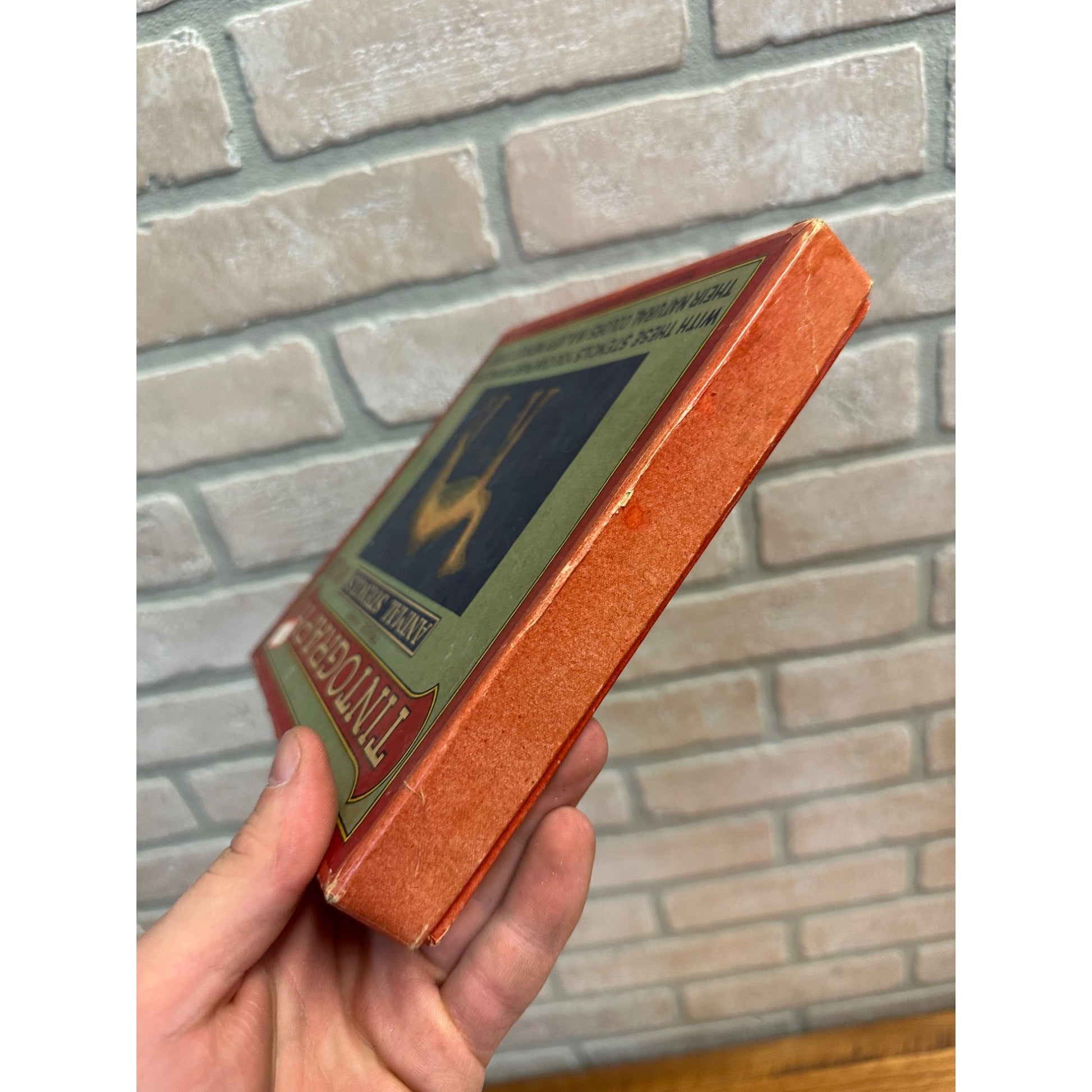 Vintage Early 1900s Tintograph Animal Stencils w/ Box Victorian Baumgarten Baltimore