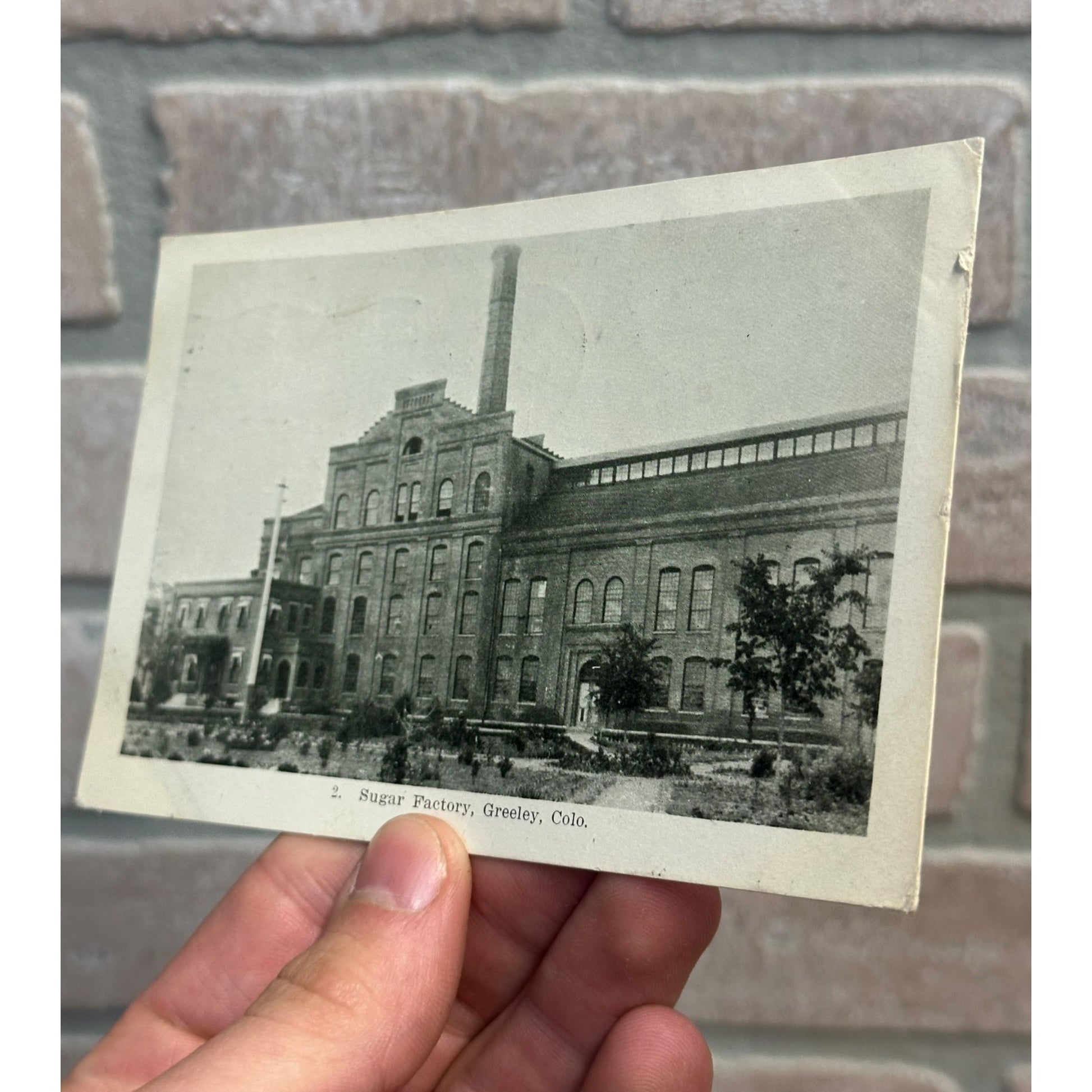 Greeley CO Colorado RPPC Postcard Sugar Factory 1908 Vintage