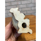 Vintage Elsa "A Boy and His Dog"  Dachshund Ceramic Figurine MCM