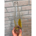 Vernor's Ginger Ale Soda Bottle Elsons Bottling Works Ishpeming MI Michigan ACL