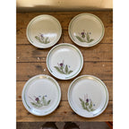 Buchan Thistle Serving Scotland Stoneware Pottery (5) 10" Dinner Plates
