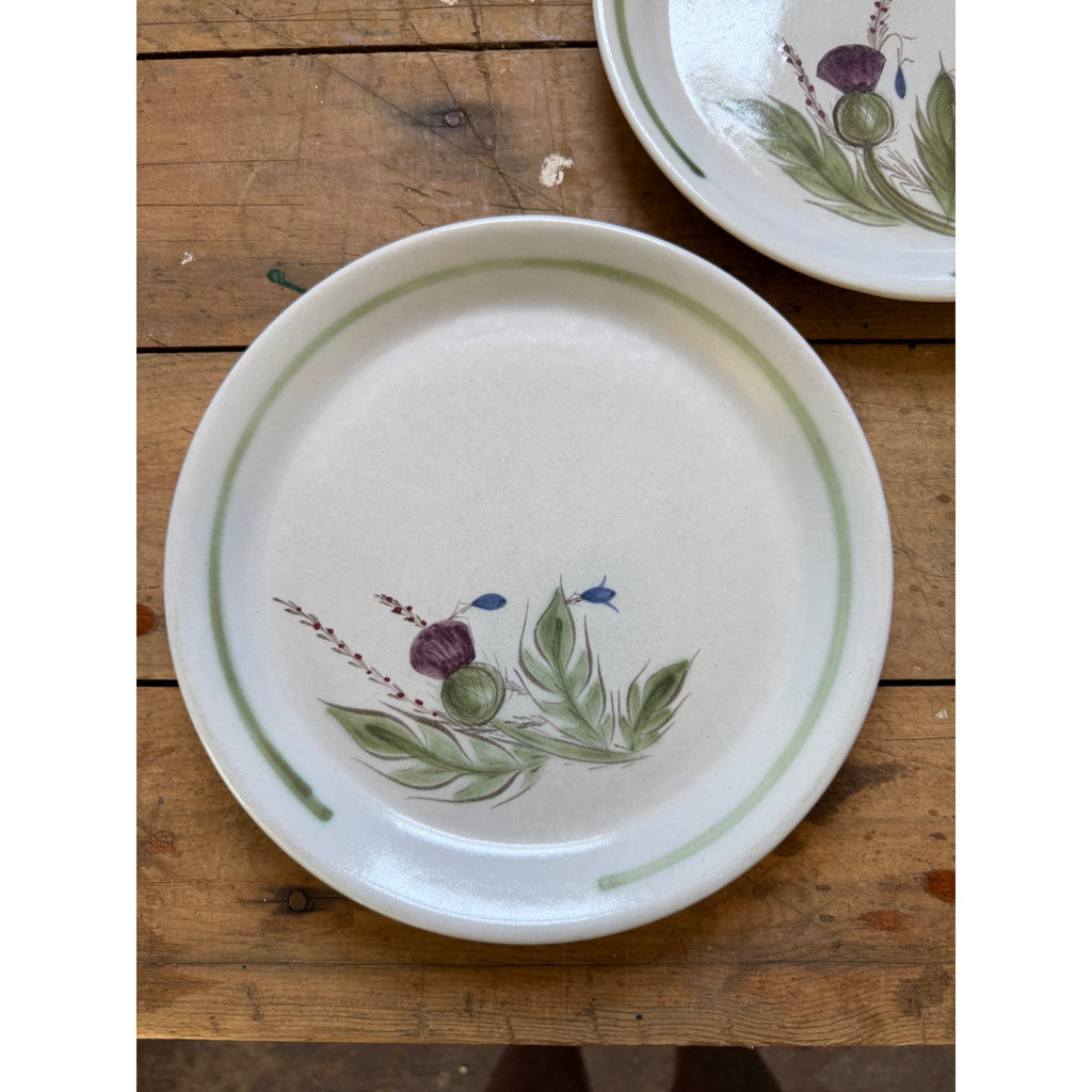 Buchan Thistle Serving Scotland Stoneware Pottery (5) 10" Dinner Plates