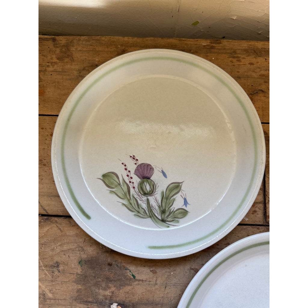 Buchan Thistle Serving Scotland Stoneware Pottery (5) 10" Dinner Plates