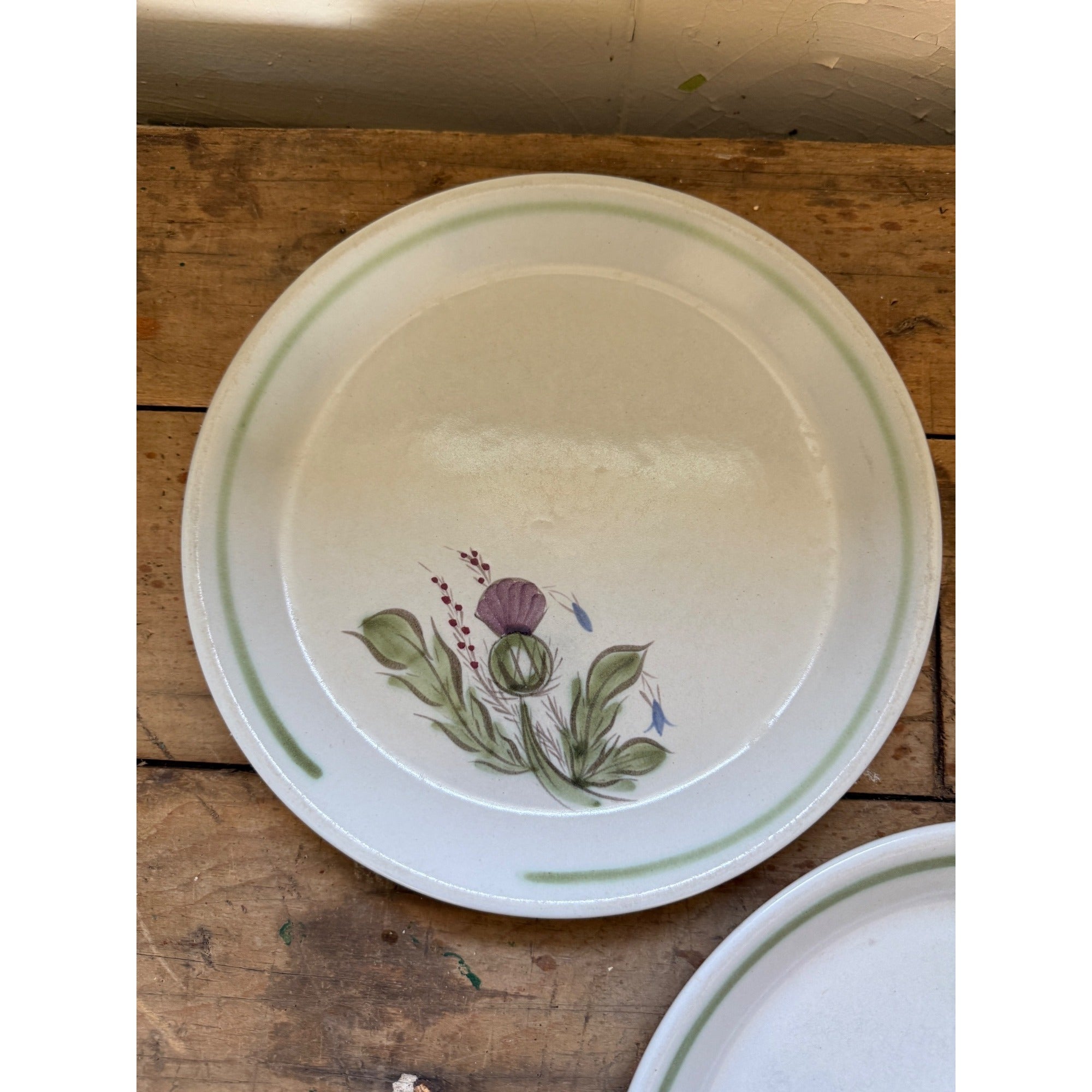 Buchan Thistle Serving Scotland Stoneware Pottery (5) 10" Dinner Plates