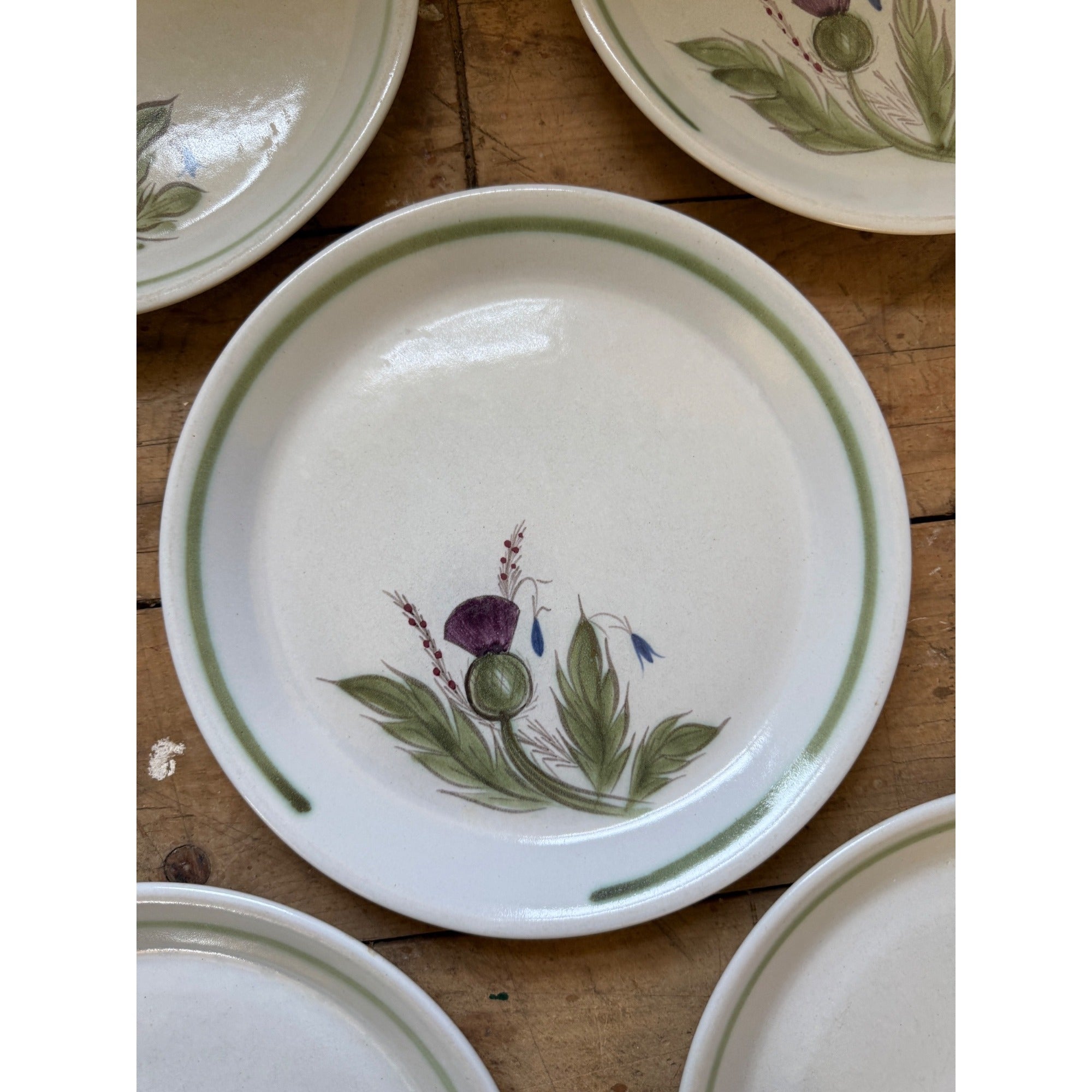 Buchan Thistle Serving Scotland Stoneware Pottery (5) 10" Dinner Plates