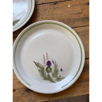 Buchan Thistle Serving Scotland Stoneware Pottery (5) 10" Dinner Plates