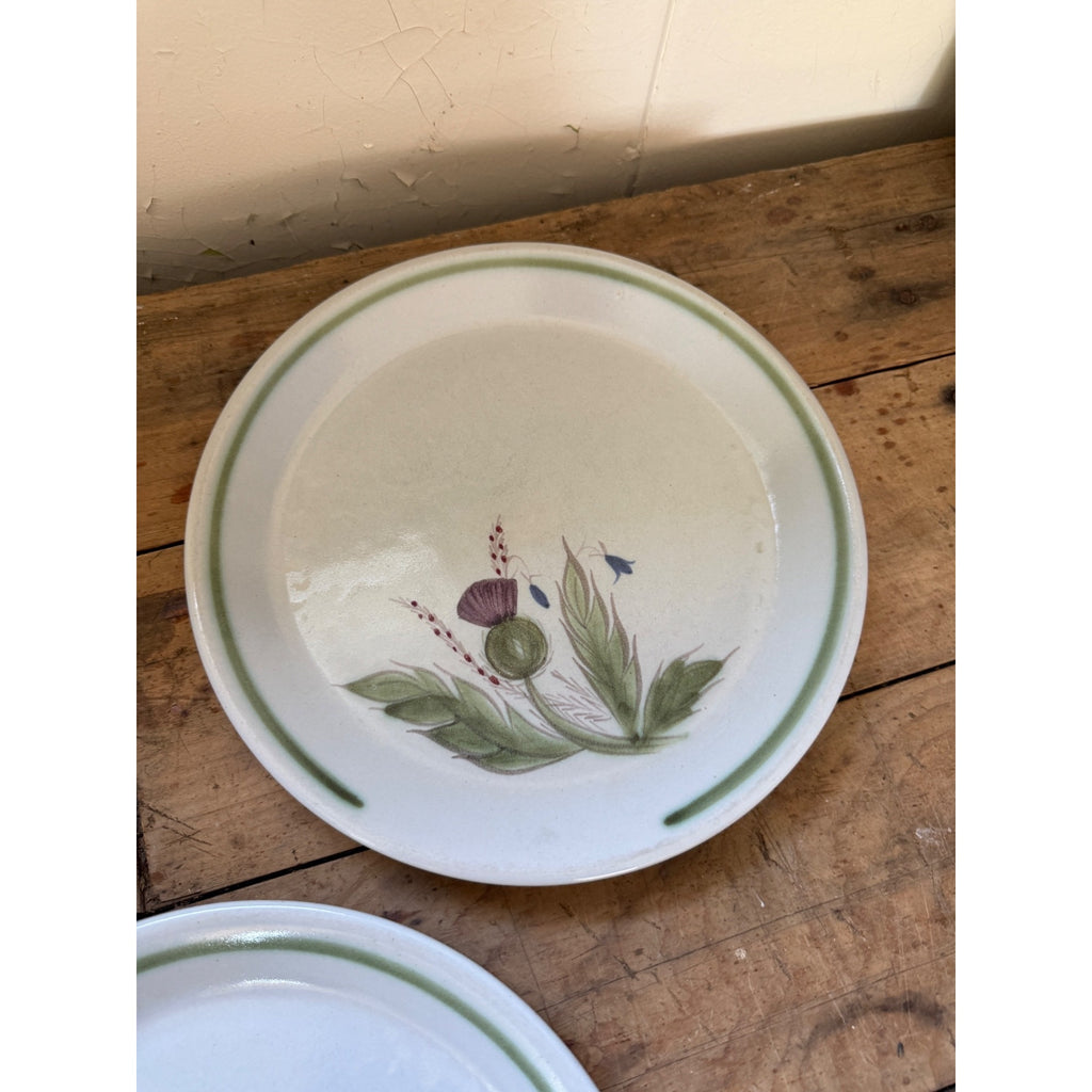Buchan Thistle Serving Scotland Stoneware Pottery (5) 10" Dinner Plates