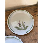 Buchan Thistle Serving Scotland Stoneware Pottery (5) 10" Dinner Plates