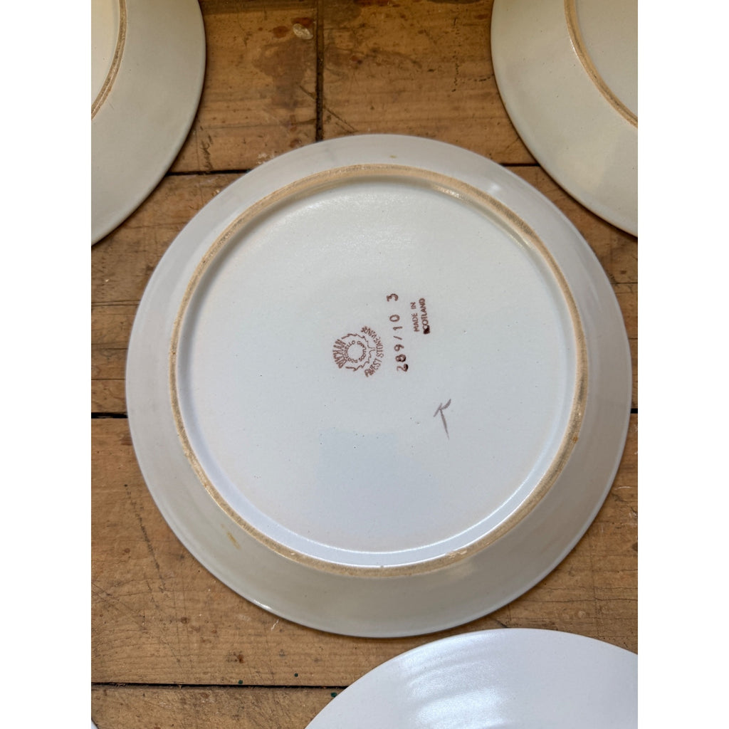 Buchan Thistle Serving Scotland Stoneware Pottery (5) 10" Dinner Plates