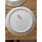 Buchan Thistle Serving Scotland Stoneware Pottery (5) 10" Dinner Plates