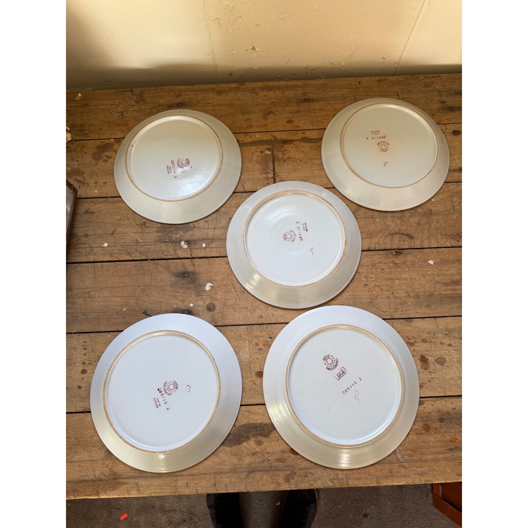 Buchan Thistle Serving Scotland Stoneware Pottery (5) 10" Dinner Plates