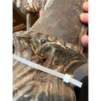 Rare Antique Cast Iron Horse Head Hitching Post Top Primitive Farm Equestrian Architectural Salvage