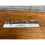 OEM Nash Rambler Tailgate Trunk or Hood Letters 1959-60 AMC Original Letter Set