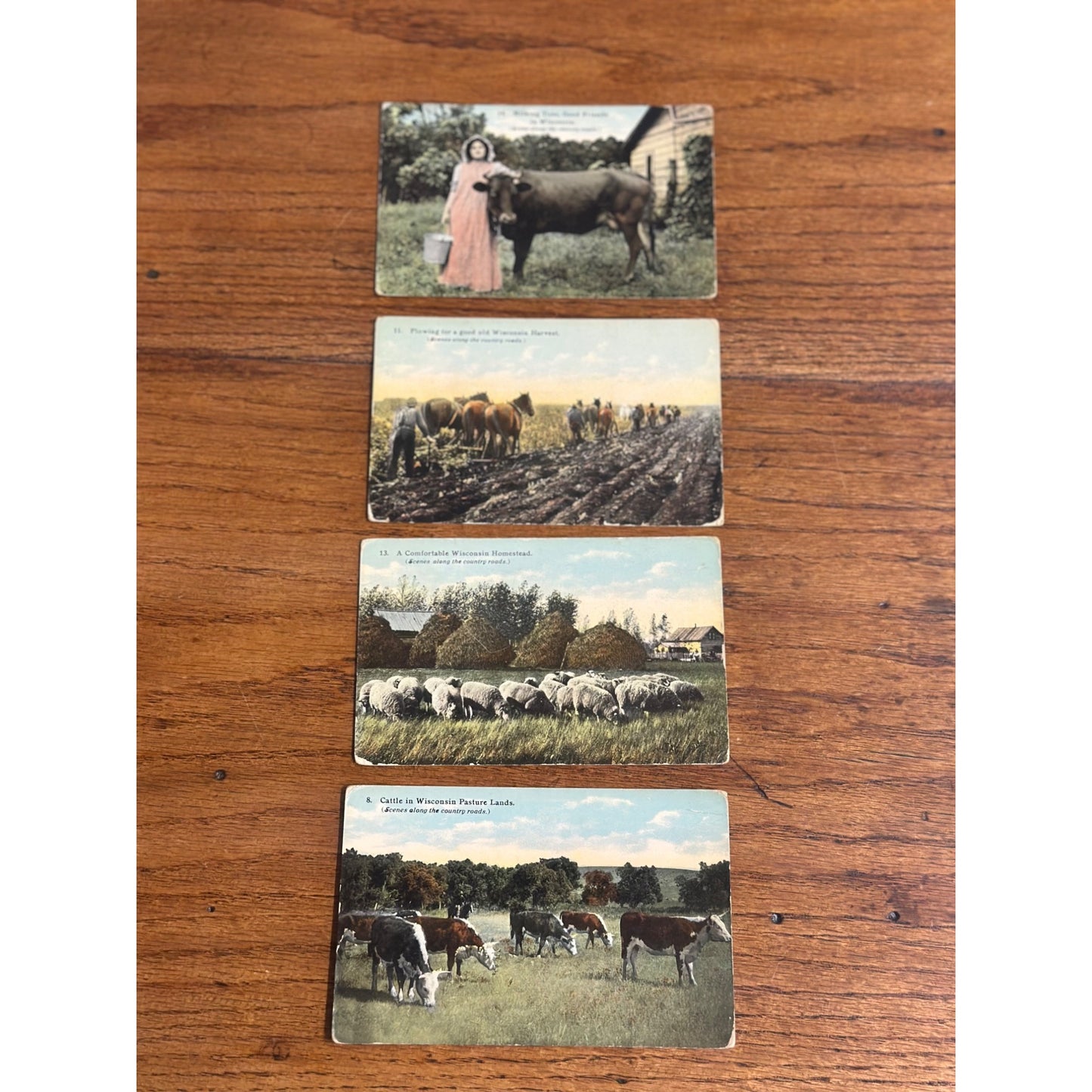 Wisconsin Lot Postcards Scenes of Country Road - Bishop - Cattle, Cow Milking Harvest