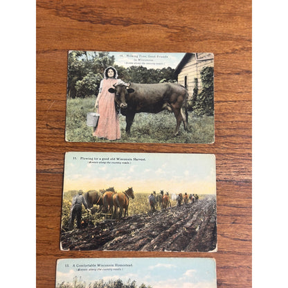 Wisconsin Lot Postcards Scenes of Country Road - Bishop - Cattle, Cow Milking Harvest