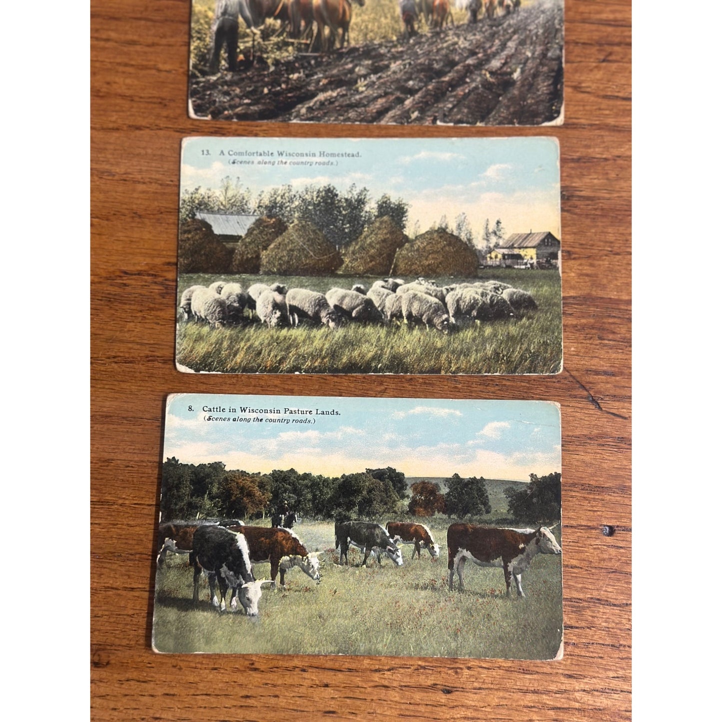 Wisconsin Lot Postcards Scenes of Country Road - Bishop - Cattle, Cow Milking Harvest