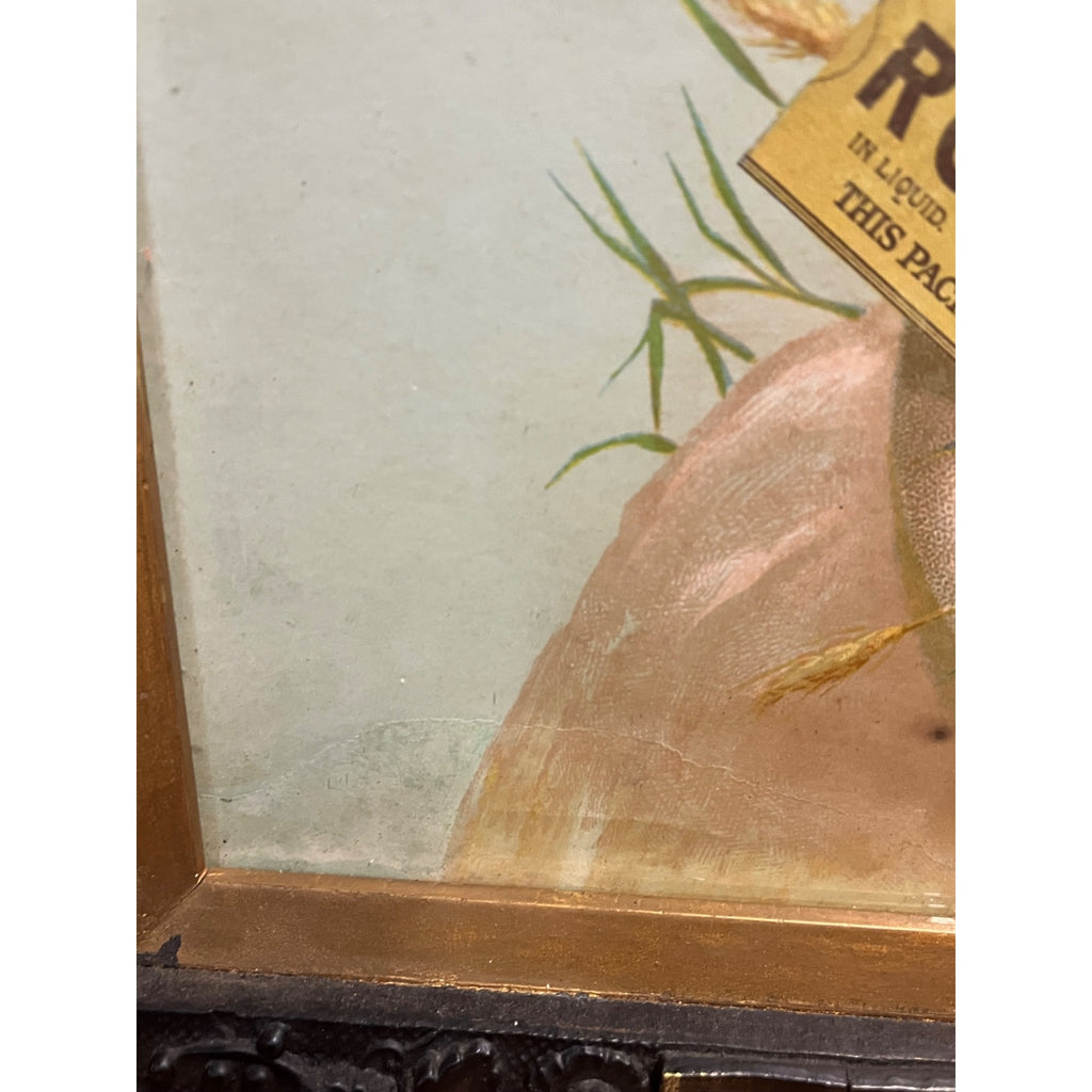 Original 1890s Hires Root Beer Victorian Framed Litho Advertising Sign Antique