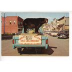 Vintage Glidden Wis Largest BLack bear Hunting Northern Wisconsin Postcard Eau Claire