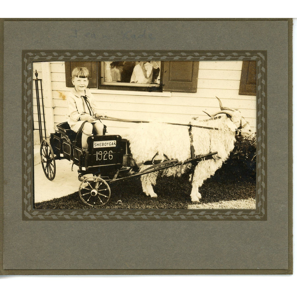 Antique 1926 Girl on Sheboygan Wis Wooden Cart W/Sheep Photo Original Cute!