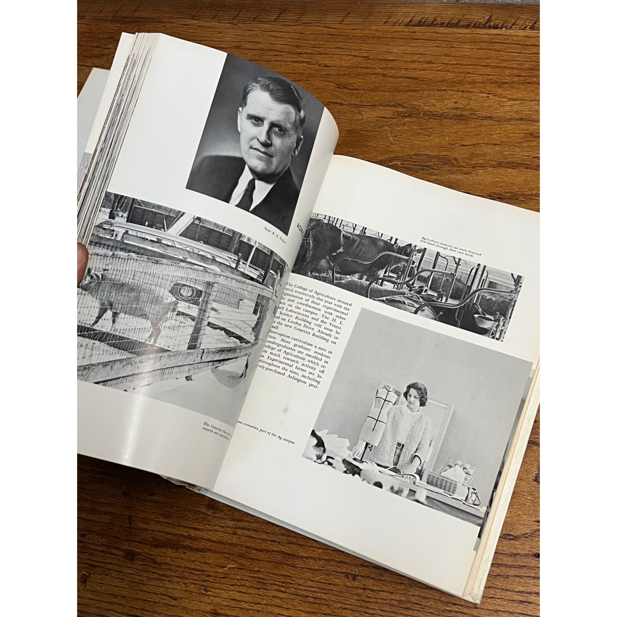 1963 University of Wisconsin Annual Yearbook The Badger 490 pages NO SIGNATURES