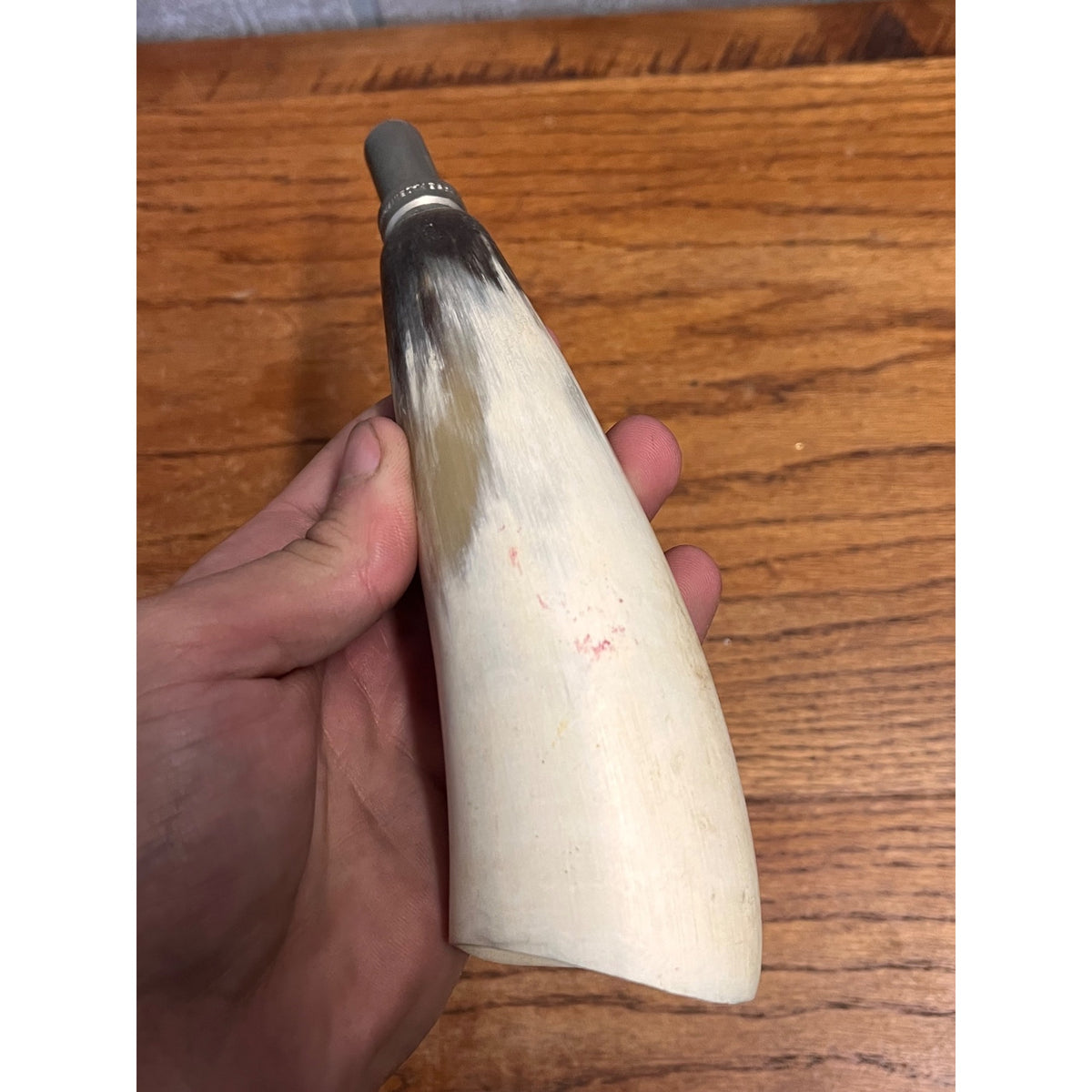 Vintage Modele Elless Depose Carved Bovine Hunting Horn Pair France Circa 1960