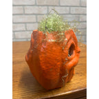 Vintage 1950s Halloween Jack O'Lantern Paper Mache JOL Choir Boy DOUBLE SIDED
