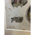 Antique c1870 Hand Colored Human Anatomy Steel Engraving Framed Medical Hirschfield C.E. Bock Atlas