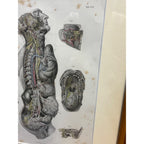Antique c1870 Hand Colored Human Anatomy Steel Engraving Framed Medical Hirschfield C.E. Bock Atlas