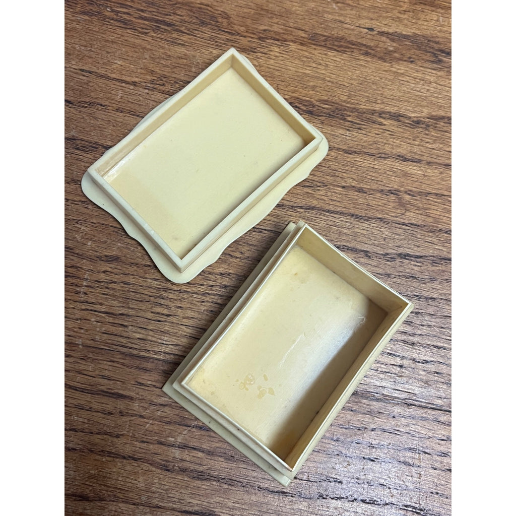 Vintage 1920s French Ivory Celluloid 4pc Vanity Set Hand Mirror, Brushes, & Powder Box