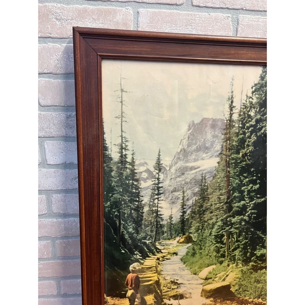 Original Colorado Rockies Missouri Pacific Lines Railroad Poster Sign Advertising