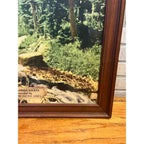 Original Colorado Rockies Missouri Pacific Lines Railroad Poster Sign Advertising