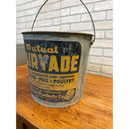 Vintage Mutual Dairyade Advertising Galvanized Farm Feed Bucket Pail Calves Pigs