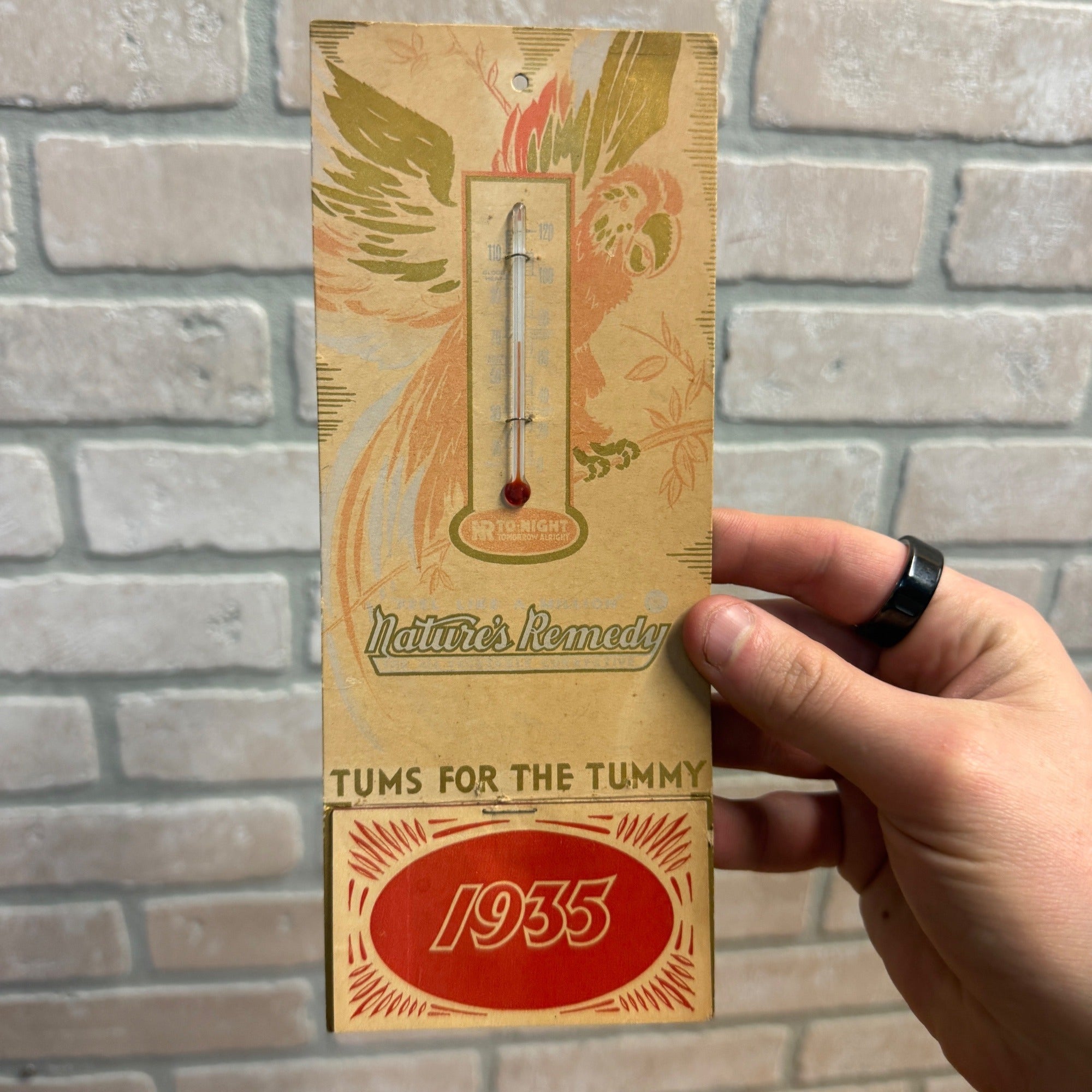 Vintage Nature’s Remedy Tums 1935 Calendar Drug Store Advertising Sign -Unused