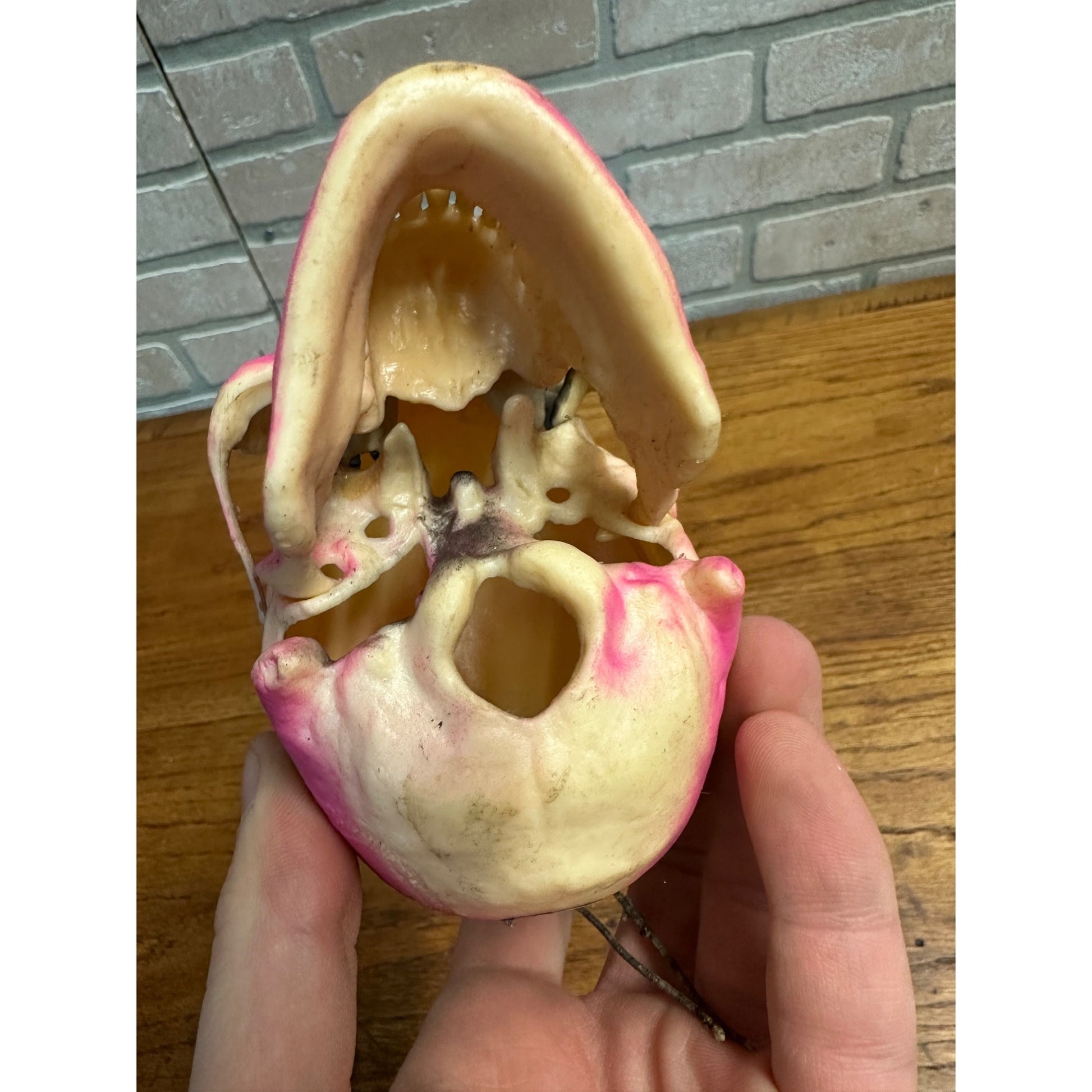 Vintage 1960s Halloween Plastic Dangling Skull Plastic Ornament Articulated Jaw Pink