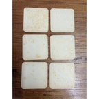 Vintage Fox Head Waukesha 400 Beer Wisconsin Bar Coasters Set (6) Headley
