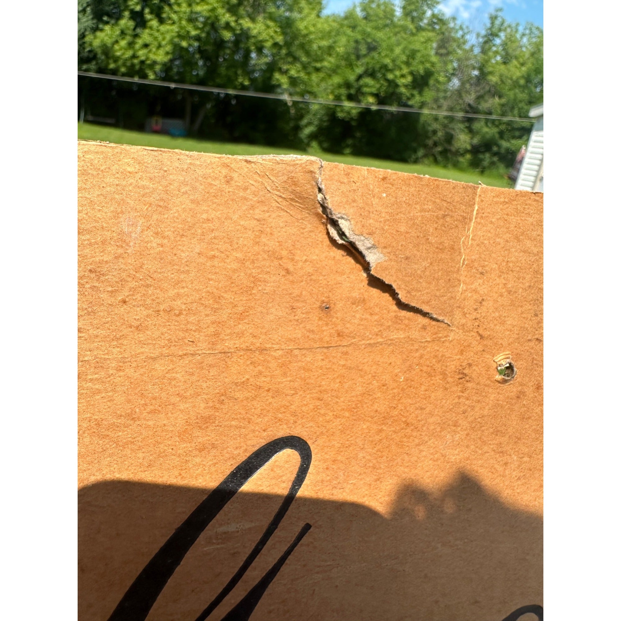 Antique 1910s Fairfield Shoe Co Mens Boys Shoes Advertising Sign