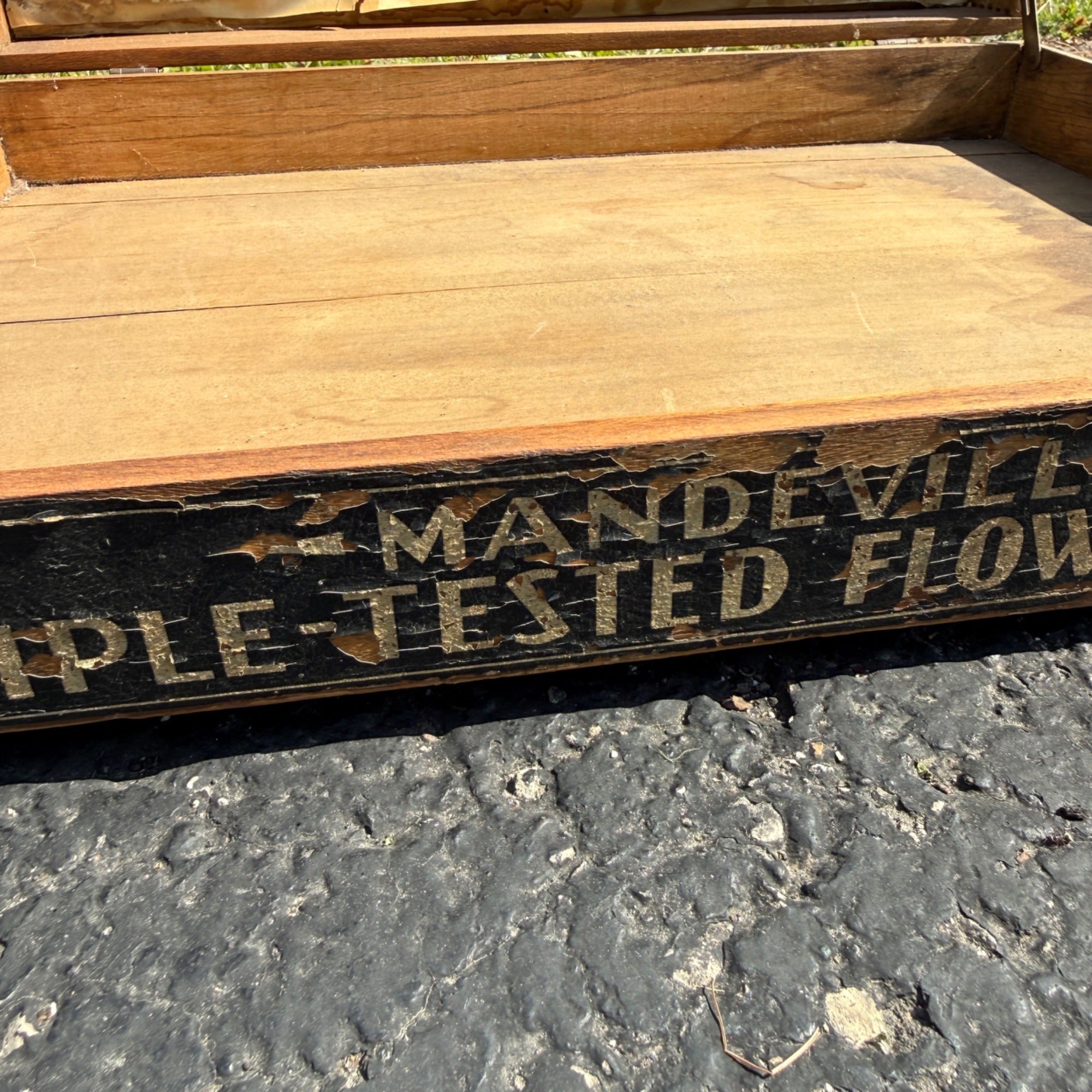 Mandeville & King Flower Seed Box General Store Display - As-Is