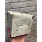 Vintage 1950s Pabst Brewing Co. Empty Cardboard Box for Coasters