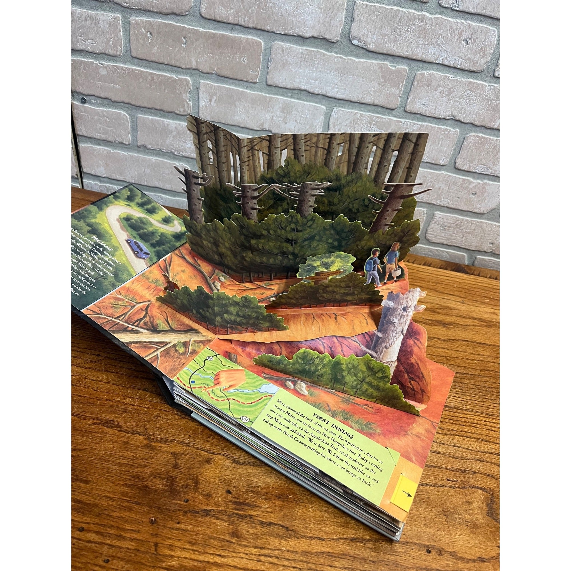 2004 The Girl Who Loved Tom Gordon Pop-up Hardcover Book Stephen King Vintage