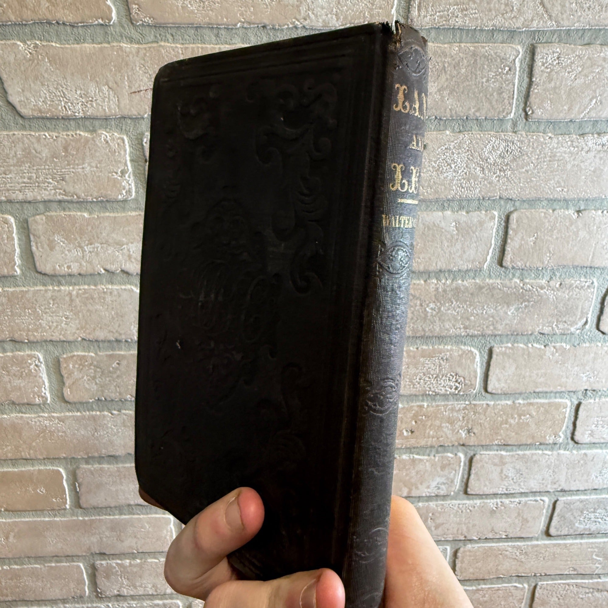 1851 Land & Lee Bosphorus Constantinople Antique Book Walton Colton